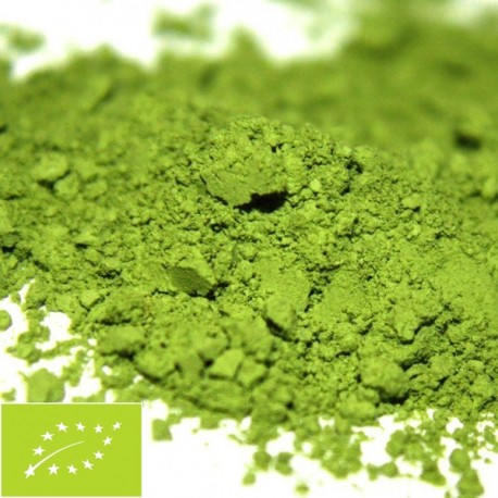 Matcha Premium 