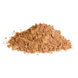 Μανιτάρια Reishi