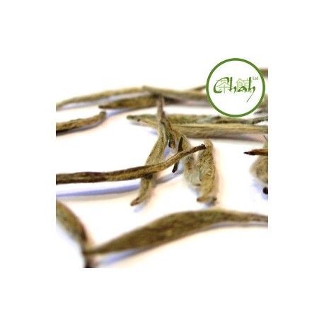 Biała herbata Silver Needle
